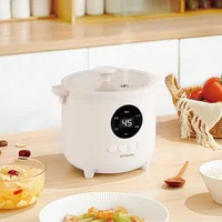 Marmite électrique en céramique pour la maison, 1,8 l, 12h, pour ragoût, cuiseur à riz antiadhésif, pour garder automatiquement au chaud, multifonction 5