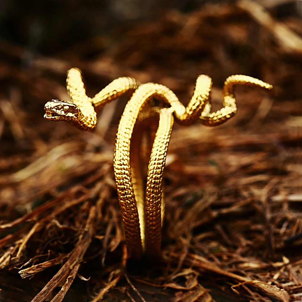 Gold Color Rings Couples Rings Stainless Steel Ring Finger Ring Gold Color Ring Animal Ring Simple Stainless Steel Snake Ring For Men Women Punk Hip Hop Fashion Couple Ring Men's Gold Color Jewelry