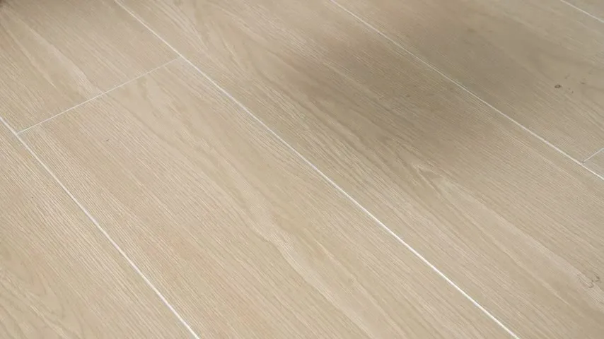 Зимние теплые тапочки Colgs