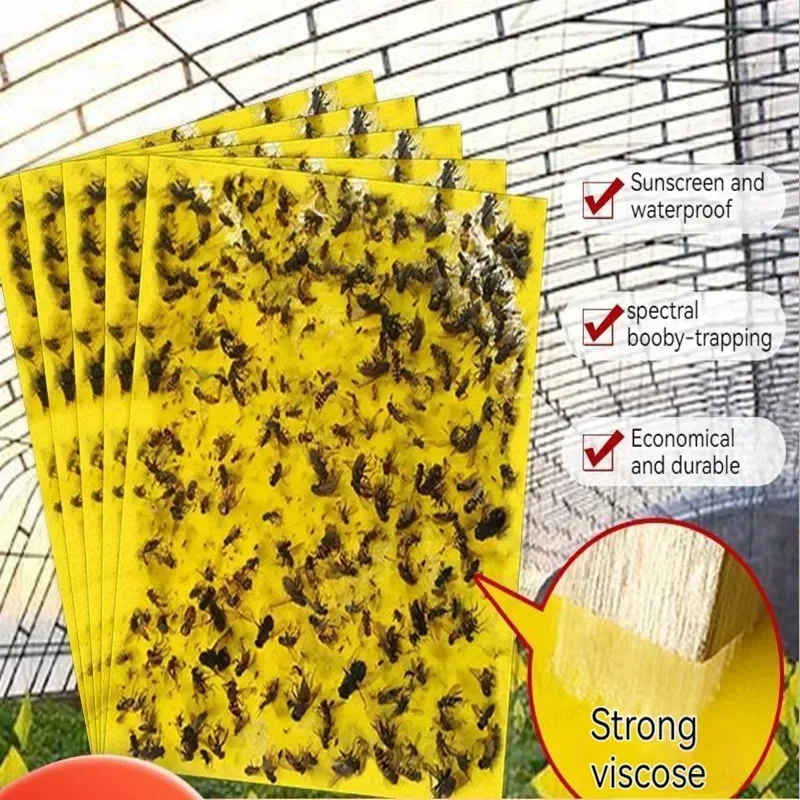 30PcsStrongFliesTrapsBugsStickyBoardCatchingAphidInsectsPest