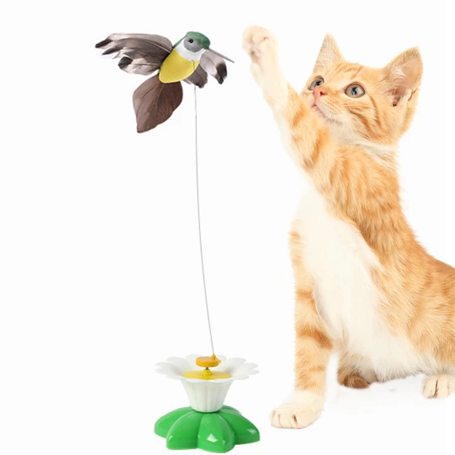 Cat Teaser Wand 35 Long Wire with Feathered and Bells Cat Toy with Suction  Cup