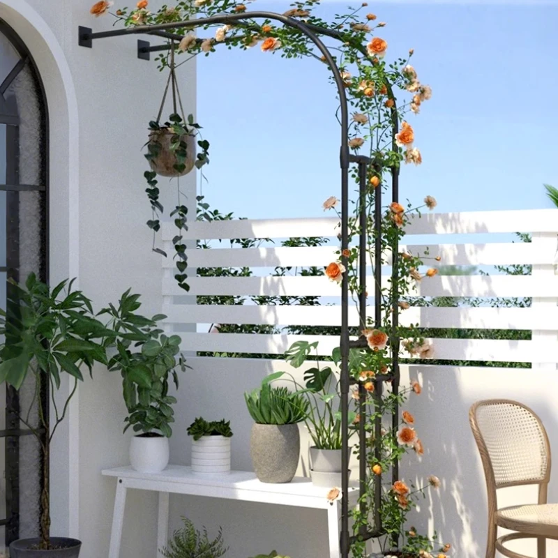 Arch Rack for Climbing Plants 1