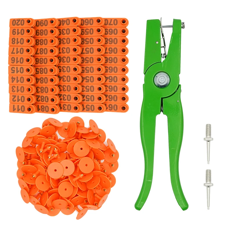 Orange with numbers
