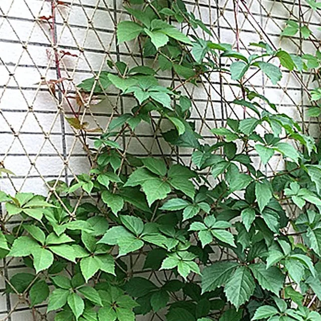 Jute Plant Támogató Nettó Üzem Kertek Növényi Hálózatával, Amely Alkalmas Beltéri És Kültéri Hegymászó Növények Borsójára - Image 4