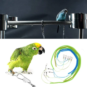 Pet Bird Parrot Flying Rope Cockatiels Pet Bird Leash Kit