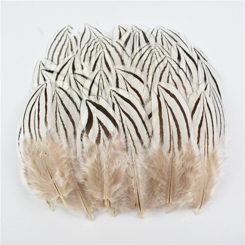 Natural Peacock Pheasant Feather Small Goose Chicken Feathers Plumes Diy Handicraft Party Wedding Accessories Jewelry Decorative