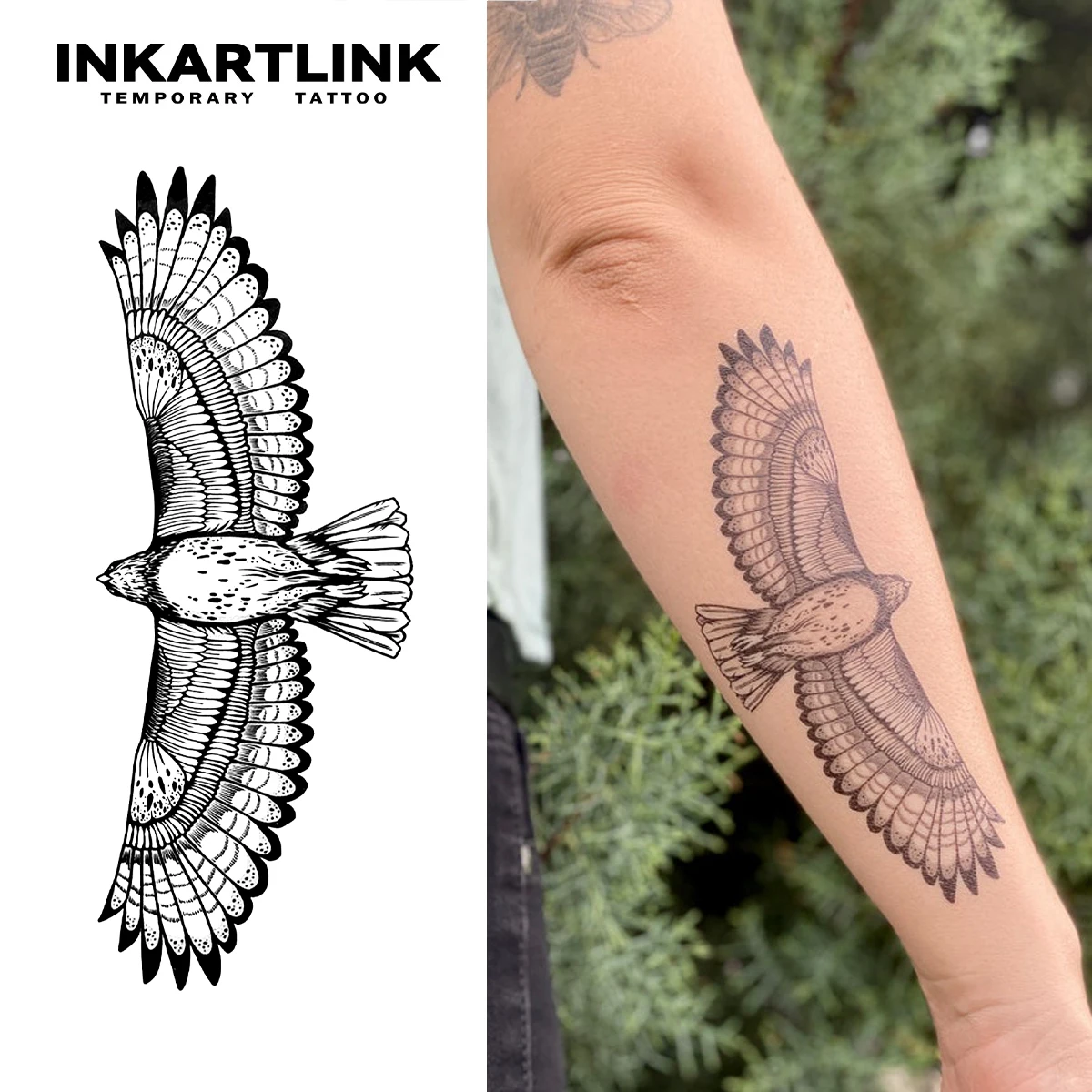 Adelaar Met Vleugels Uitgespreid Tijdelijke Tattoo, Duurt Tot 15 Dagen  Nieuwe Technologie Magische Waterdichte Semi-Permanente Sticker. -  AliExpress, image size:1200x1200