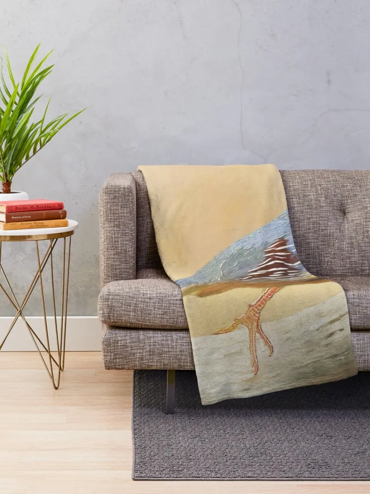 Gambrels ���߶�� ������ ���, ������ ���, ���� ��� ���, ���� ��� �� ������