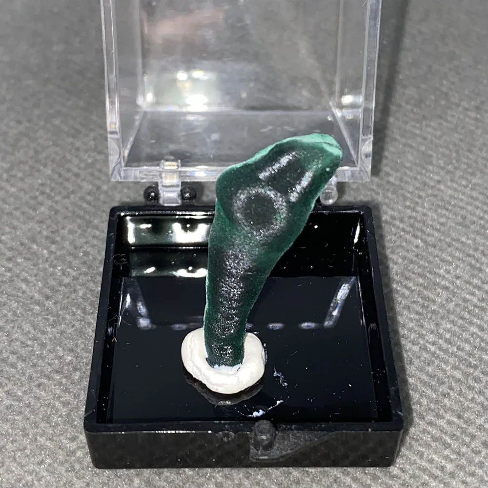 100% Natural Columnar Green Malachite (Aperture) Rough Mineral Specimen Healing Crystal +Box size:35*35*35mm