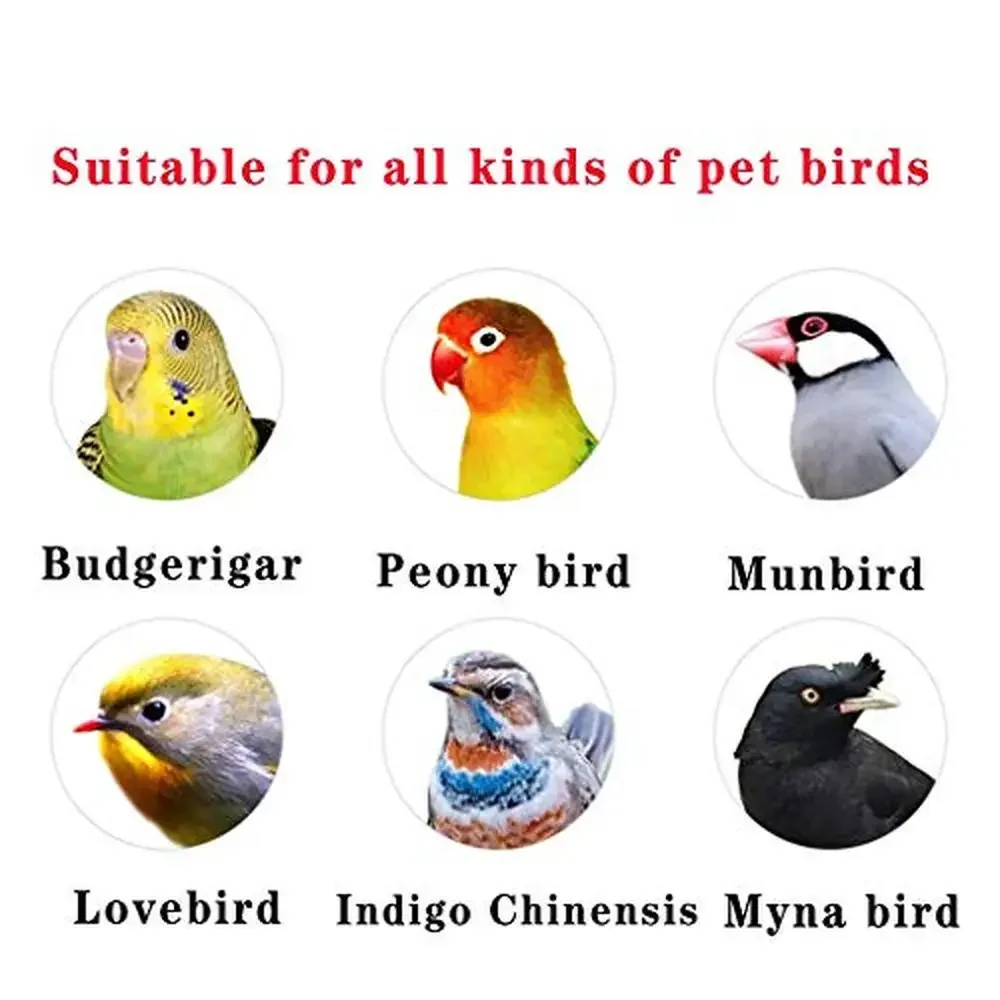 Decorative Bird Cage Parakeets Swing Drinking Fountain Elegant Golden Parrot Dove Grass Nest Stick Clothing Kit Flight Cage