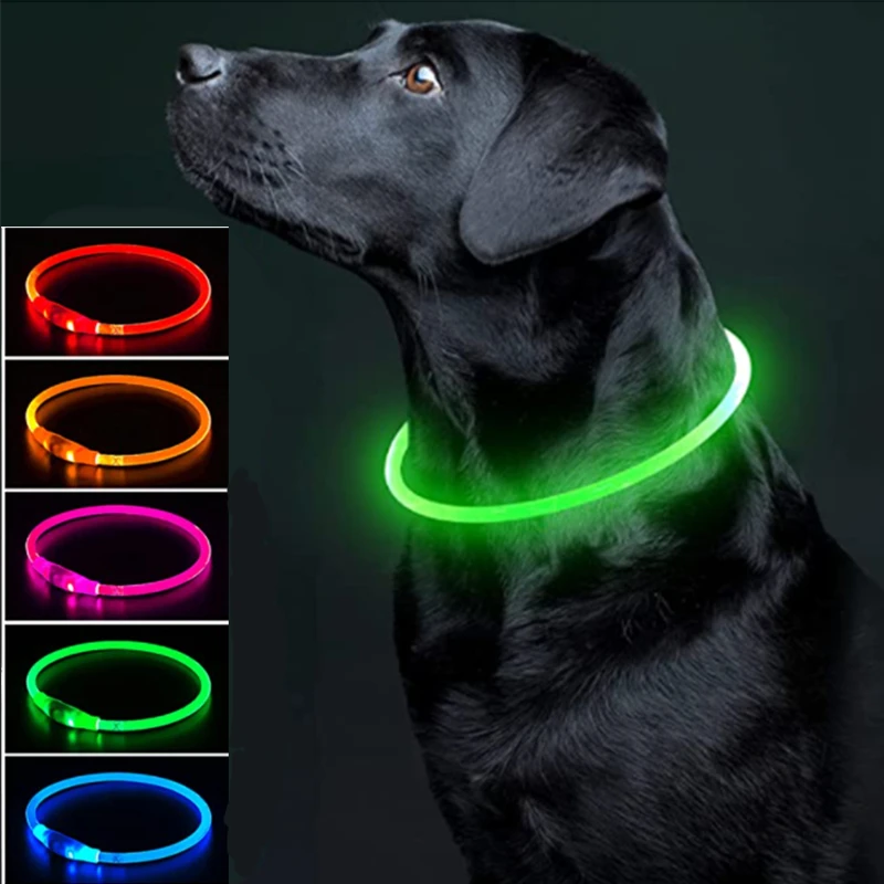 Lichtgevend hondenharnas met oplaadbare led - waterdicht reflecterend hondenharnas Glow in the Dark - Knipperend harnas voor puppy's en kleine tot middelgrote honden die in het licht wandelen, paars-L