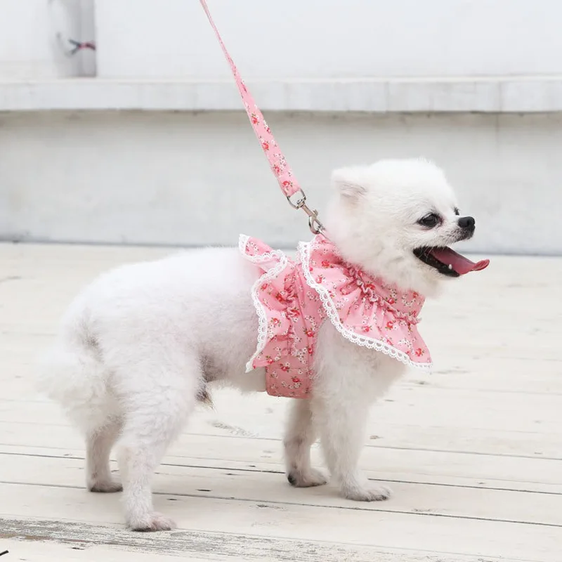 Pet Harness Leash Set Daisy Floral For Small Dogs Cats