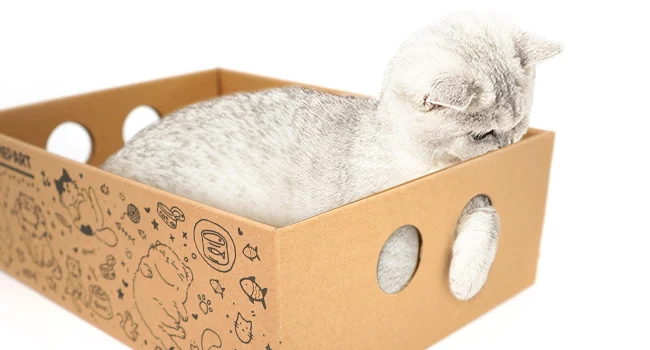 cat scratcher bed cat scratch bed cat scratching bed