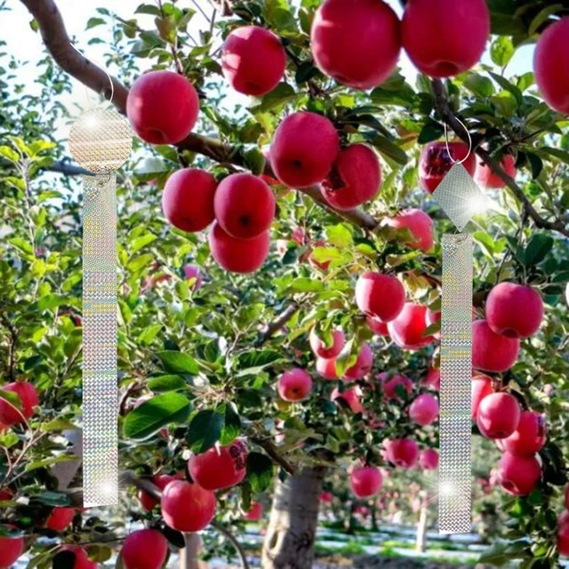 Madárgátló Rátahasznos Szalag Lézer Fényvisszaverő Függő Madár Ijesztő Szerszám Erkély Orchard Kerti Madárcsökkentő Kártevőirtó Kontroll - Image 4