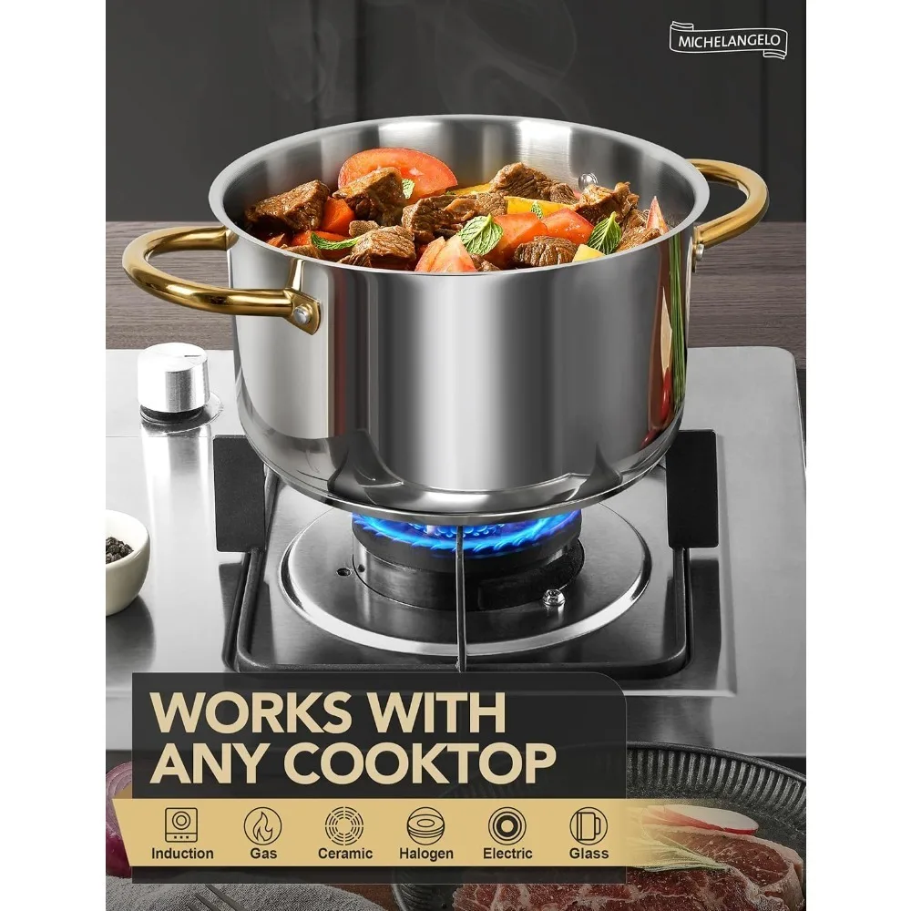 Michelangelo Stainless Stock Pot 4