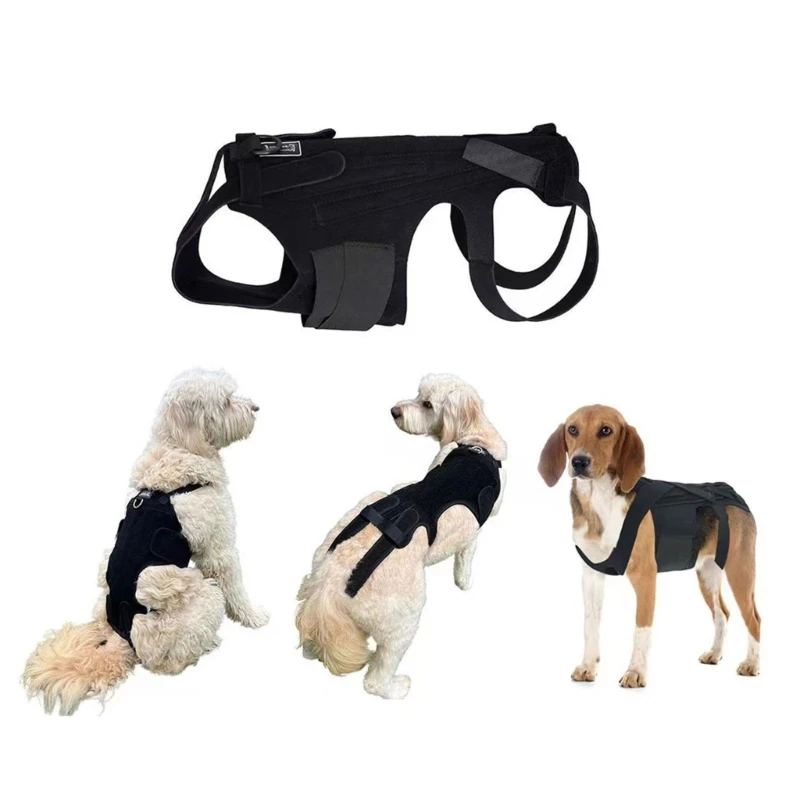 

Adjustable Dog Back Bracer Support and Comfort for Your Furry Friend 6XDE