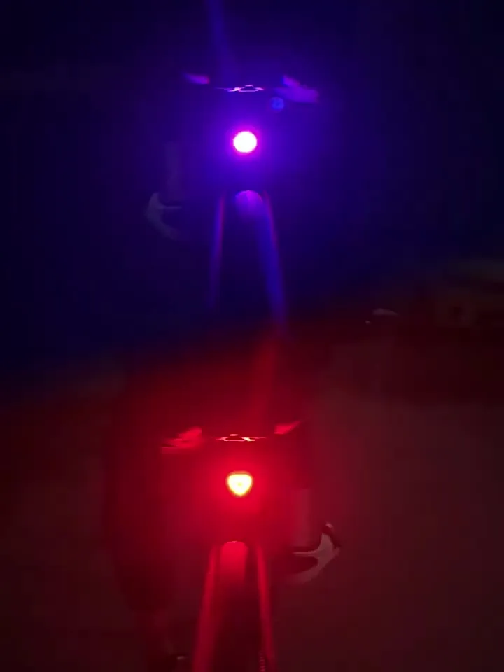 Rockbros Luce Posteriore Bici LED Ricaricabile USB: Super Luminosa, Rossa E Resistente All'acqua