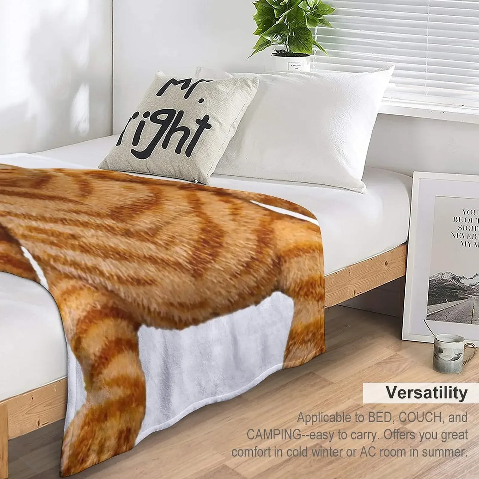 ���ʵ� ������ ���, ���� ����ִ� ����, �ʴ��� ������ ���