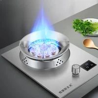 Kitchen Versatile Stainless Steel Gas Stove Household Gas Stove Liquefied Gas Natural Gas Embedded Desktop Furnace 1