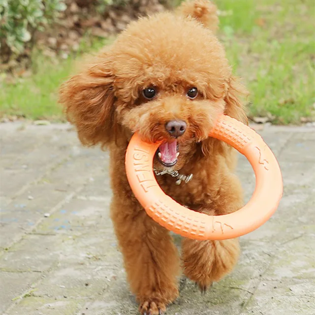 Dog Frisbee Soft Dog Ring Toy Flying Outdoor Puller For Fetch