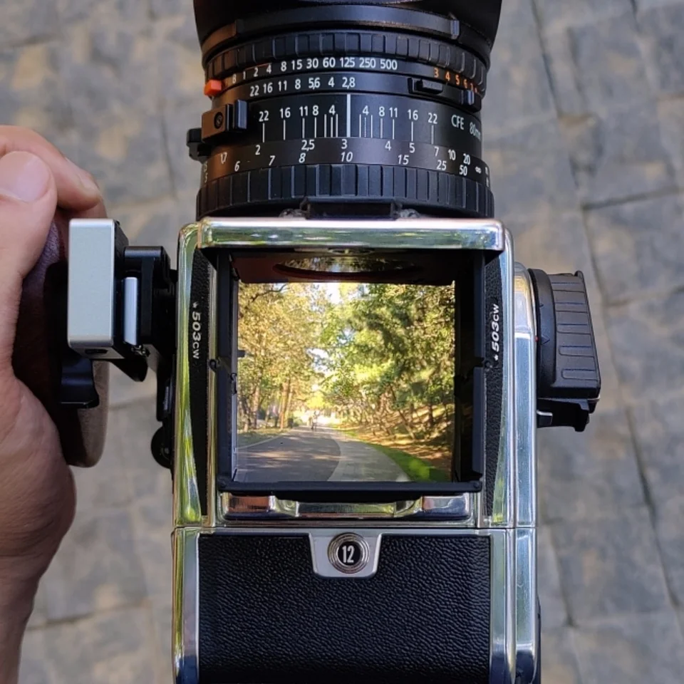 ハッセルブラッド 500C/M 503CX 501CM 503CXI 503CW用 カメラL型