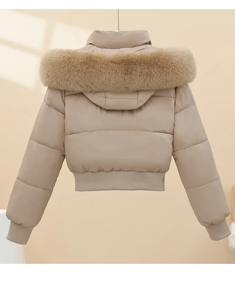 5056_25.jpg