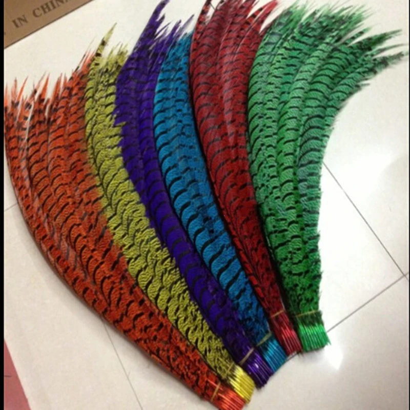 Pheasant Feather Costumes Decoration Lady Amherst Pheasant Feathers