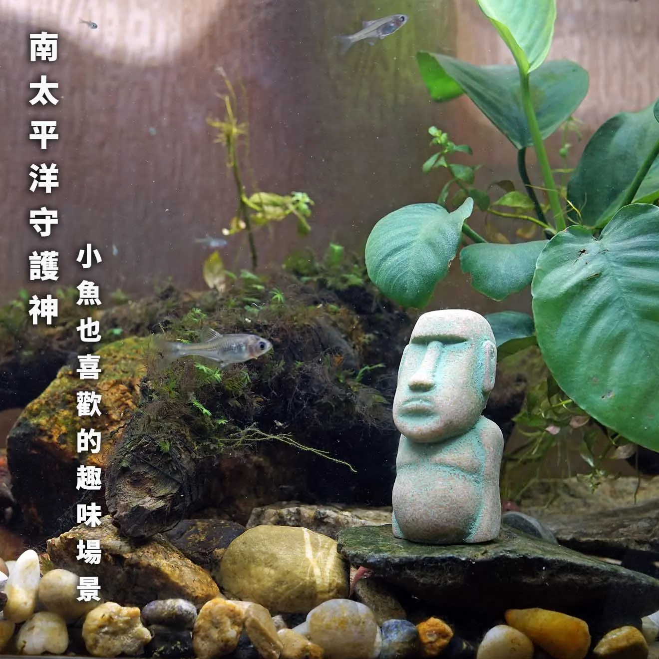 Moai Stone Statue Easter Island Fun Decoration Lovely Scenery Aquarium Fish  Tank Home Decoration Indoor Decor - AliExpress