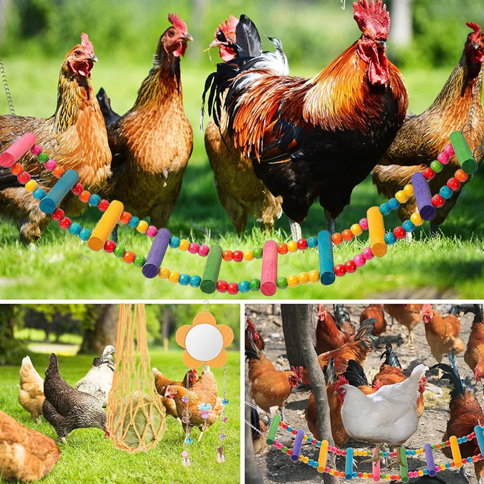 Wooden Chicken Toy Set with Hanging Feeder for Parakeet