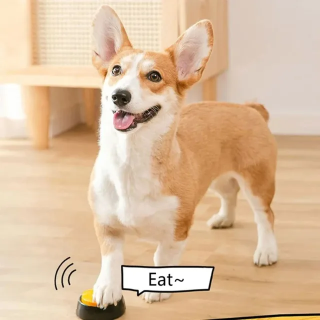 S4eef5b51cd584910a80dccec85cc57fdm.jpg Dog Communication Buttons Voice Recording Button for Pet Training Buzzer 30 Second Record Playback Funny Gift for Talking Pet