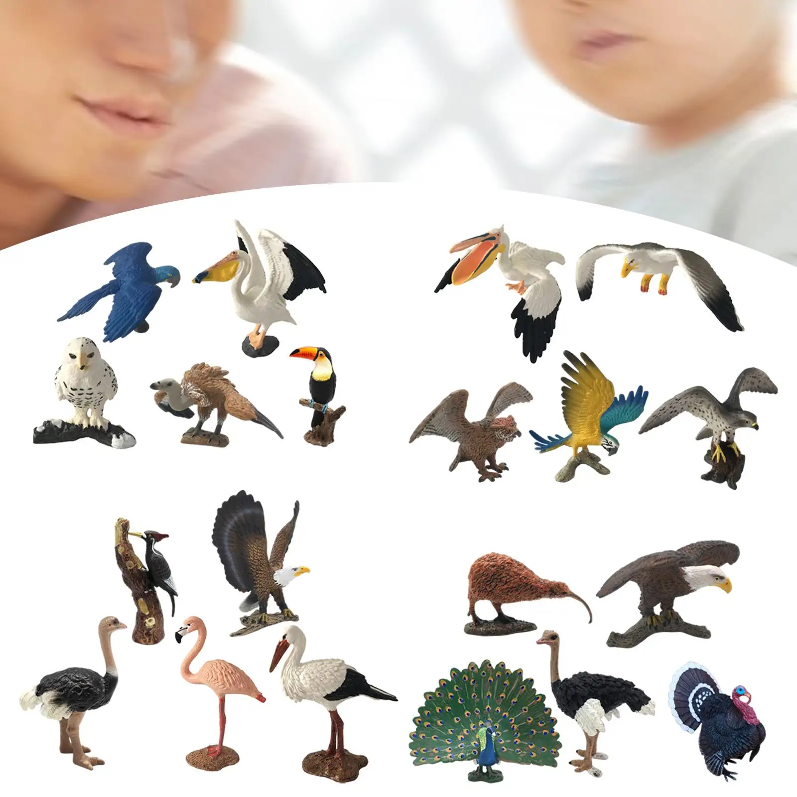 5x Simulation Birds Collection Lifelike Cake Toppers Miniature for Teaching Prop Desktop Ornament Party Favors Boys and Girls