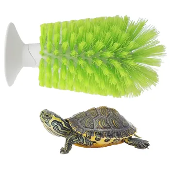 Turtle Shell Cleaning Brush 1