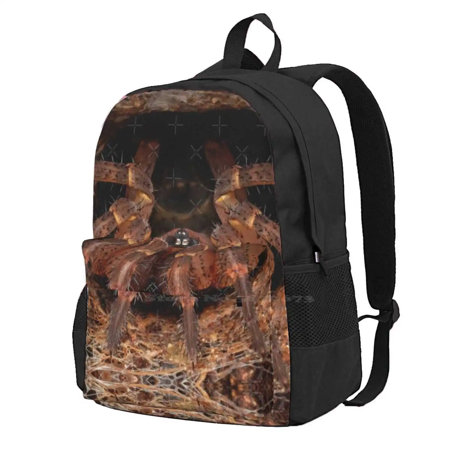 

Ornate Armored Trapdoor Spider ( Liphistius Ornatus ) Hot Sale Backpack Fashion Bags Trapdoor Spider Tarantula Mygalomorph