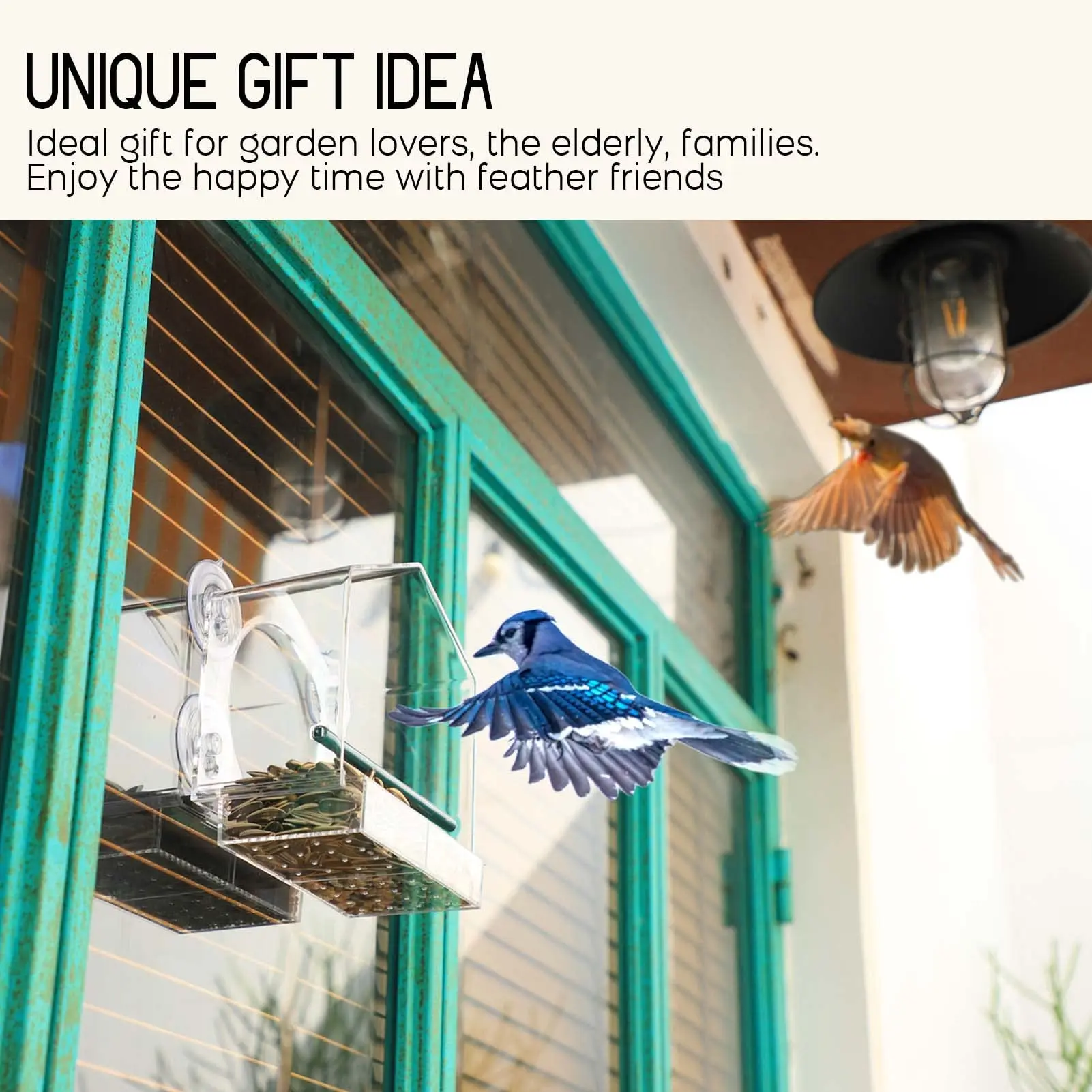 Bird Feeder Window Gram Reuse Tray House Shape Waterproof Transparent Squirrel Food Container Outdoor Suction Cup Installation