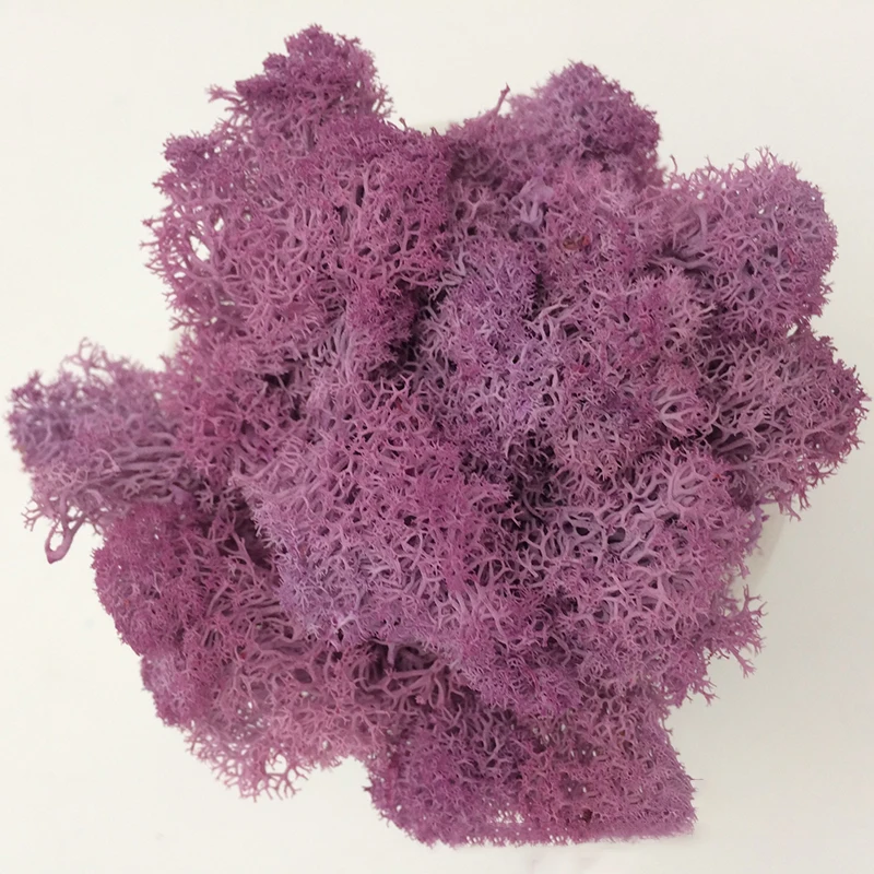 Affordable Artificial Moss Grass for DIY Crafts and Home Decor