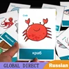13Pcs Russian Sea Animals Educativos Prepositions Learn English Puzzles Montessori Cognitive Card Puzzle Toys for Children Gifts 1