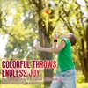 1-64PCS New Elastic Return Sponge Ball Nylon String Game Exercises Rubber Hand Ball Kids Toys Finger Band Ball Outdoor Yoga Ball 2
