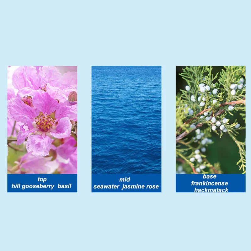 Mediterranean Perfume Blue High-end Long-lasting Fragrance Fresh Woody Fruity Fragrance First Lover Charm Date Body Spray 50ml