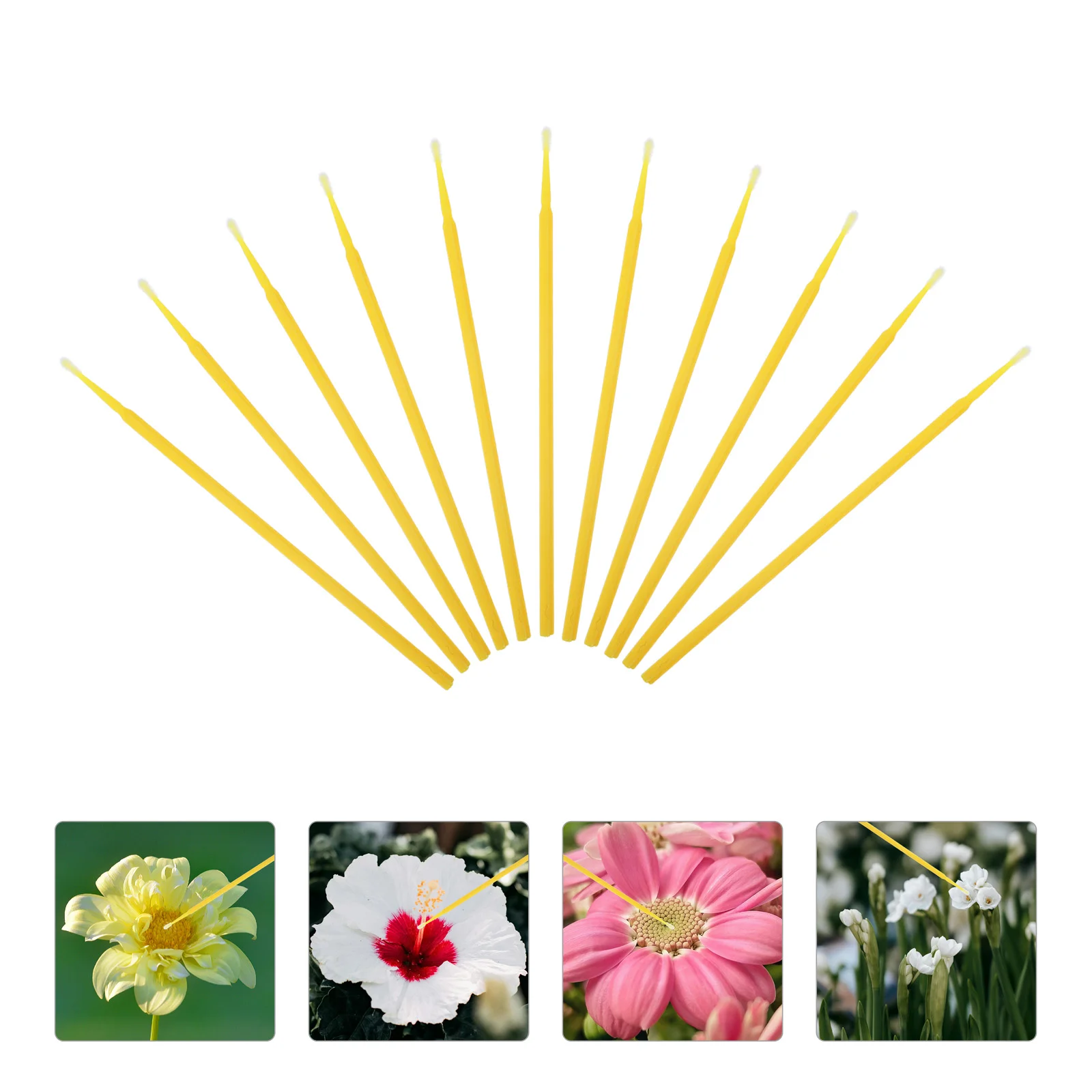 100 Pcs Bee Soft Potted Succulents Plants Vegetables Manual Pollination Brush Pollinator Plastic Gardening Tools 2