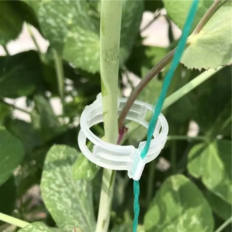 100/200/500 Pflanzenrebenklammer, Stützgarten-Bindeklemme für Stiel, wiederverwendbare Gartenfixierklammern für Pflanzen, transparent – Detail 1