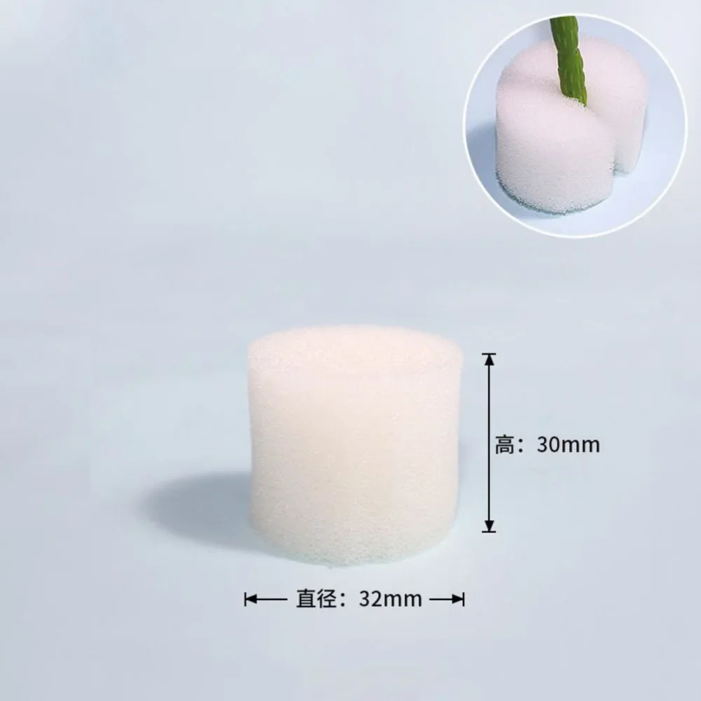 Sponge Hydroponics Sponge 100PCS Set 30mm*32mm 30mm*40m Accessories Soilless Sprouting Agent Tool Useful White