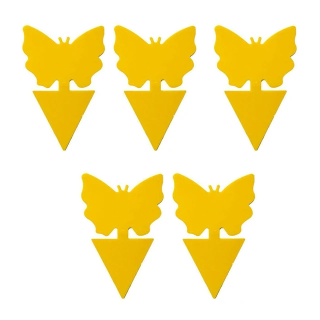 5pcs Butterfly