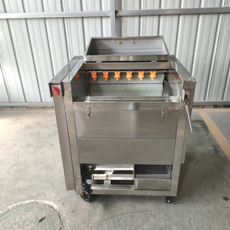 Professional vegetable fruit brush washing machine chili potato carrot peeling cleaning machine 5