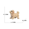Cocker Spaniel Puppy