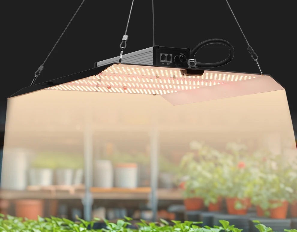 200W Vollspektrum-LED-Wachstumslicht AC100-240V SMD3030 für Gewächshauspflanzen Unabhängige rote LED-Wachstumslampe für Gemüseblumen – Detail 1