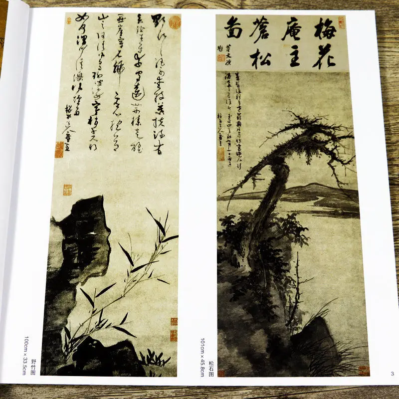 Qi Baishi Freihand Malbuch Meister Chinesische Maltechnik erklären Wu Zhen Bambus Tinte Maltechnik Tutorial Buch – Detail 8