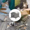 Fully Insulated Shelter for Stray and Feral Cats Cat House for Indoor and Outdoor Cats in Summer, Waterproof Winter warm cat bed 2