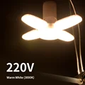 Warm White 220V