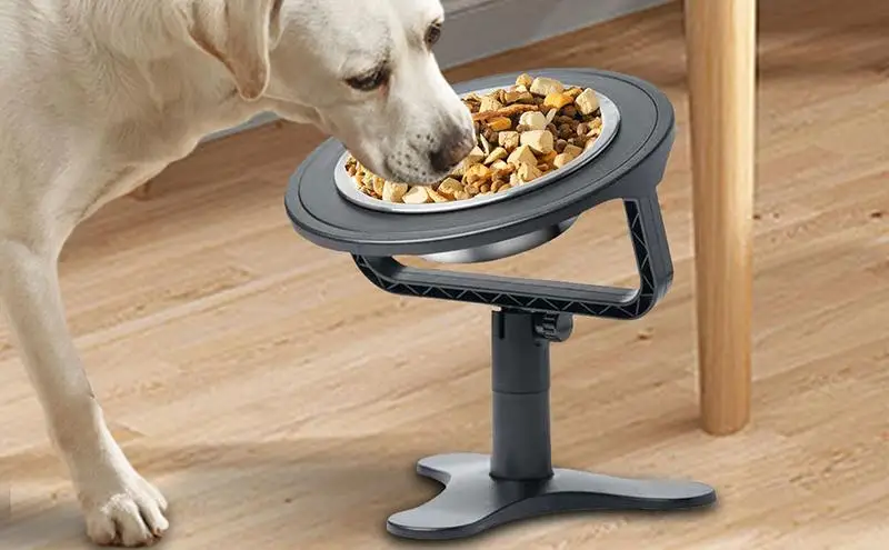 

Elevated Slow Feeder Dog Bowls Raised Dog Food Water Bowl Adjustable Non-Slip Stand for Small Cats Dogs Puppies and Pets