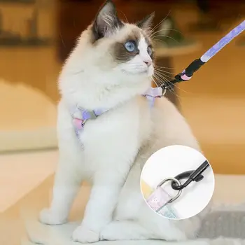 Gradient Cat Harness Set 1